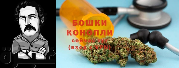 ПСИЛОЦИБИНОВЫЕ ГРИБЫ Горнозаводск