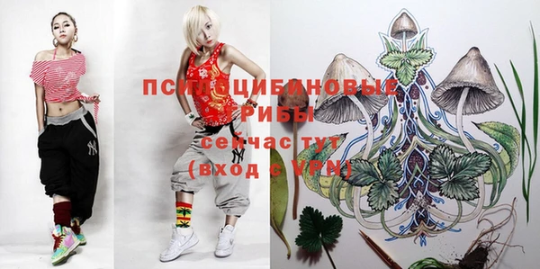 mdma Горно-Алтайск