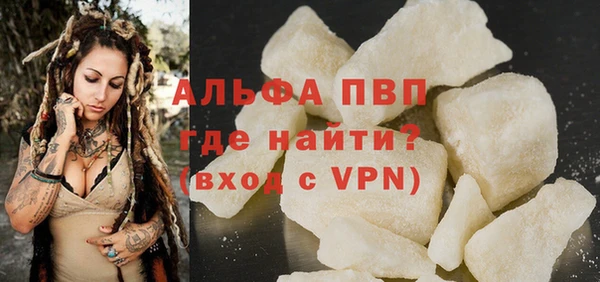 хмурый Тайга