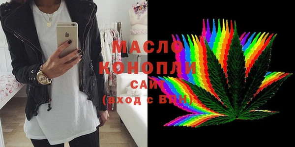 хмурый Тайга