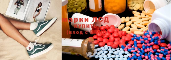 ПСИЛОЦИБИНОВЫЕ ГРИБЫ Горнозаводск