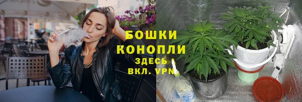 бошки Тавда